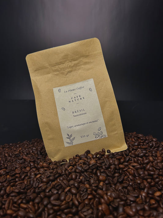 Brazilian coffee beans, pods or single doses